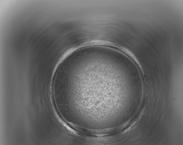 X0000059841381200510281813