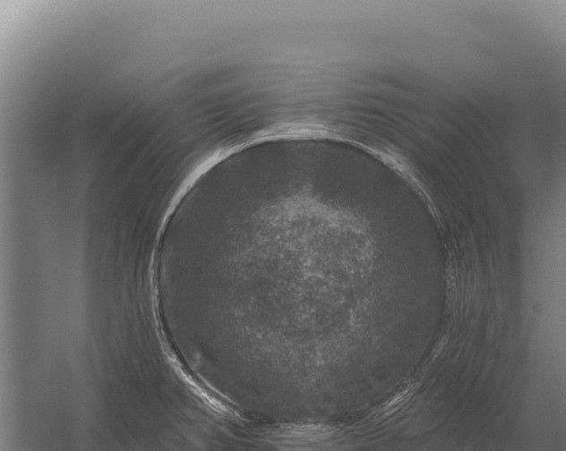 X0000059841382200510281813