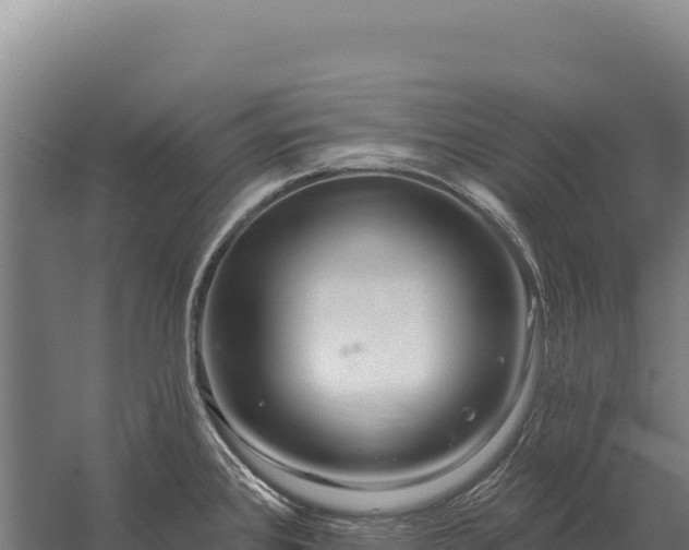 X0000059841384200510281813