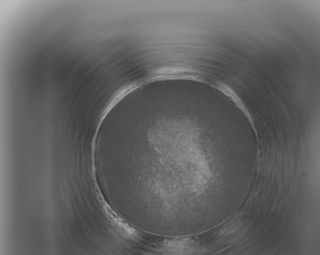 X0000059841386200510281813