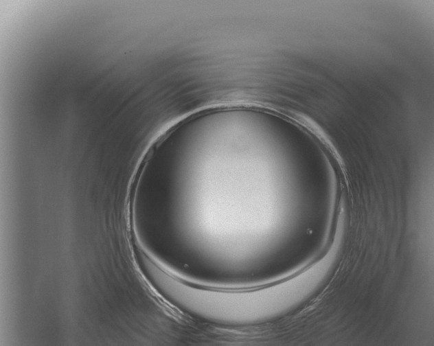 X0000059841388200510281813