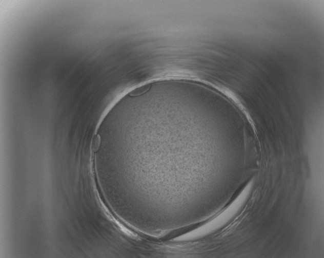 X0000059841390200510281813