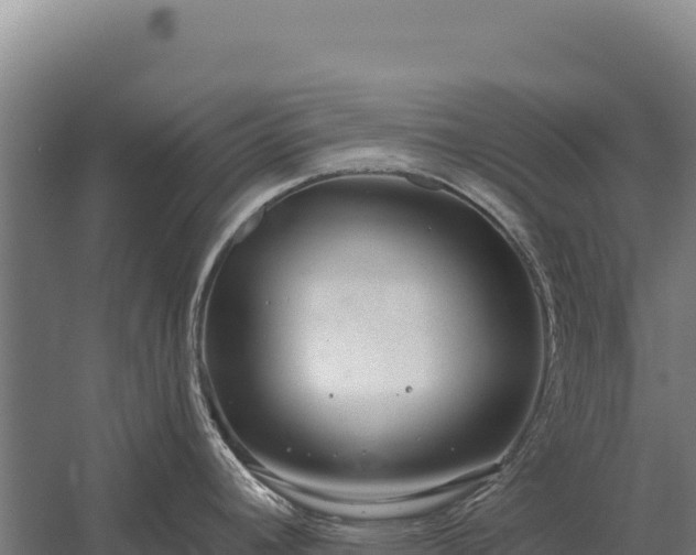 X0000059841392200510281813