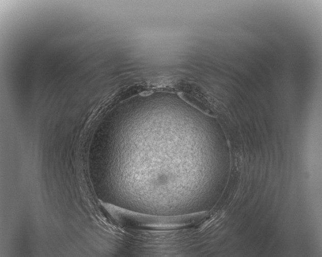 X0000059841393200510281812