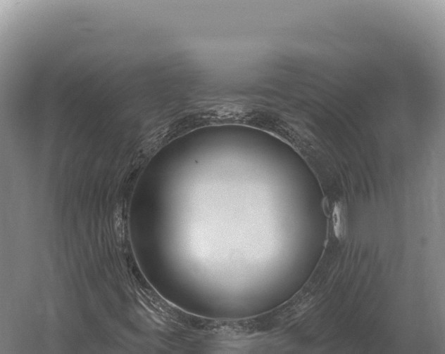 X0000059841395200510281812