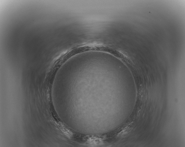 X0000059841398200510281812