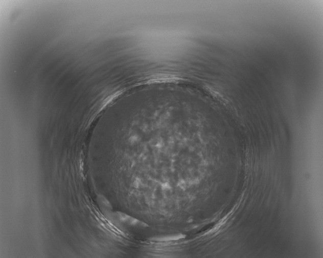 X0000059841401200510281812