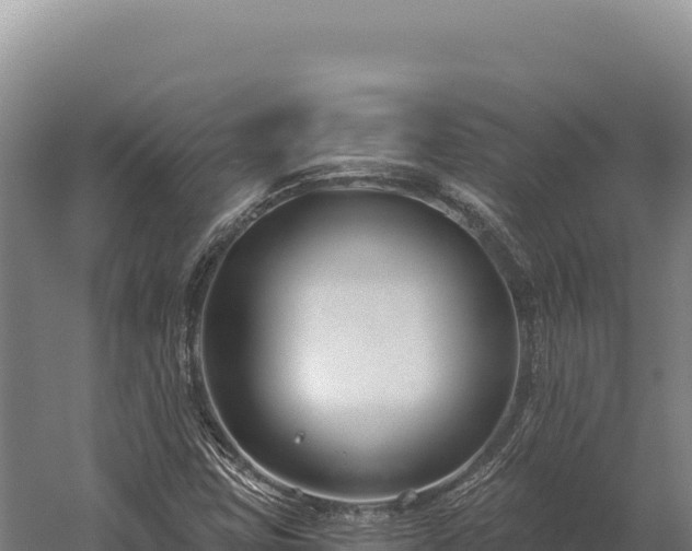 X0000059841403200510281812