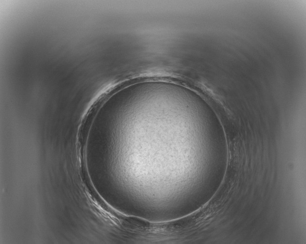 X0000059841408200510281812