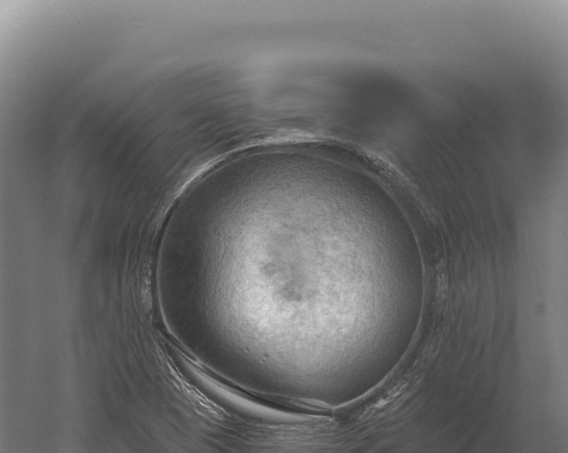 X0000059841409200510281812