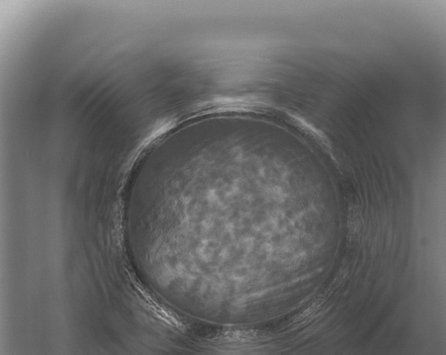 X0000059841411200510281812