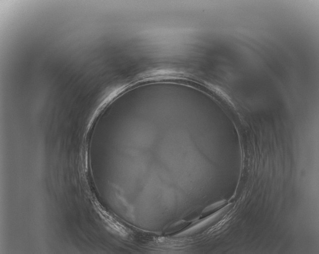 X0000059841413200510281812