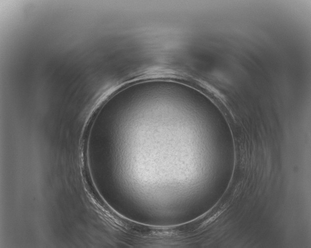 X0000059841415200510281812