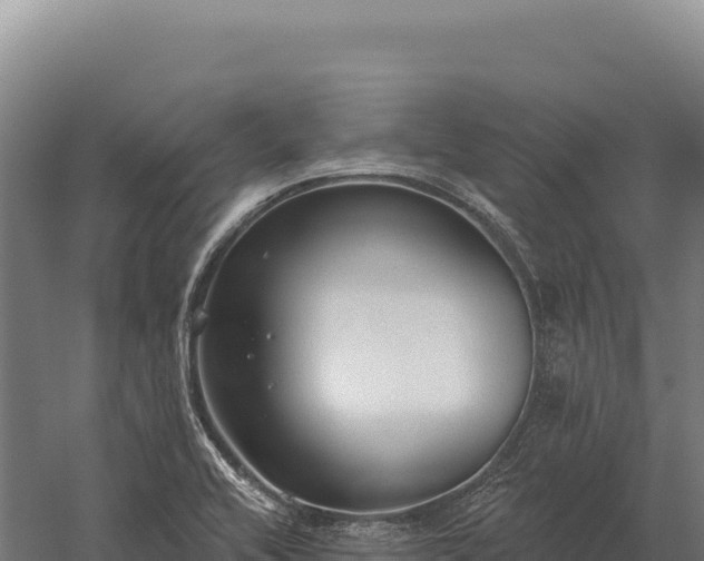 X0000059841416200510281812