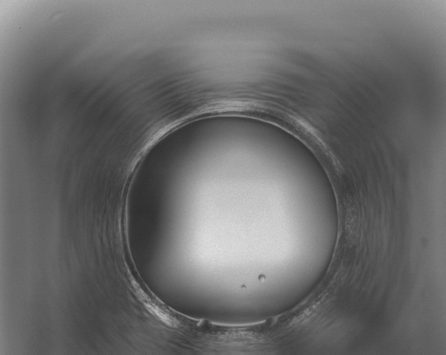 X0000059841417200510281812