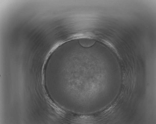 X0000059841419200510281812