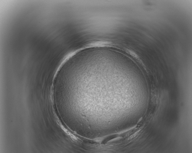 X0000059841421200510281812