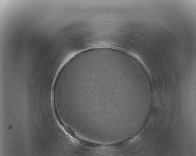 X0000059841424200510281812