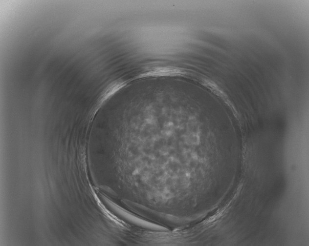 X0000059841425200510281812