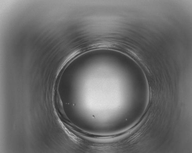 X0000059841426200510281812