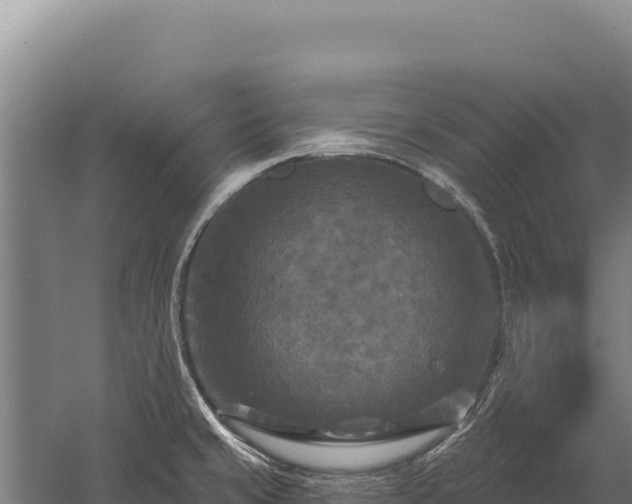 X0000059841429200510281812