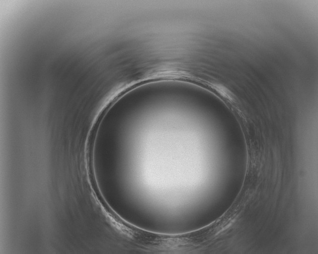 X0000059841430200510281812