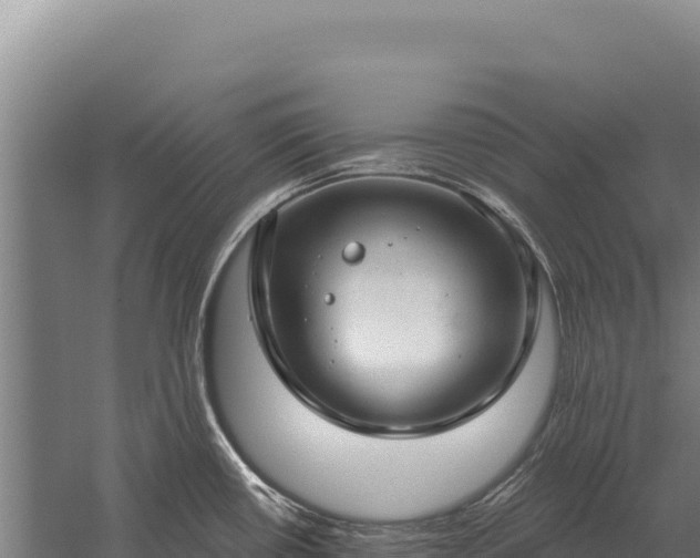 X0000059841434200510281812