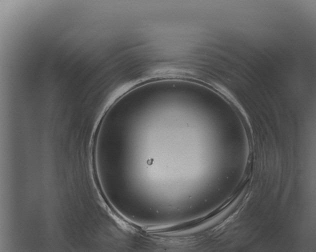 X0000059841437200510281813