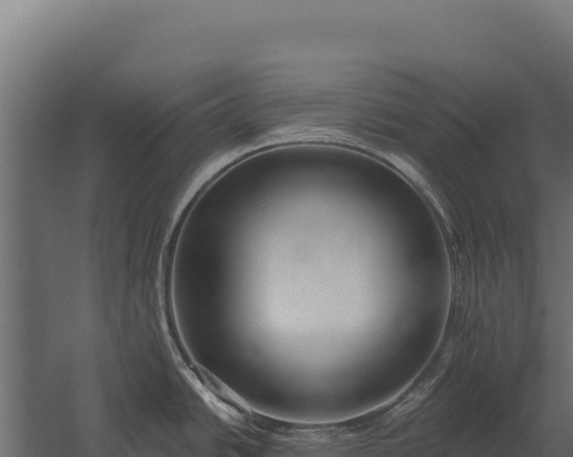 X0000059841438200510281813