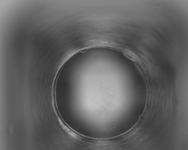 X0000059841439200510281813