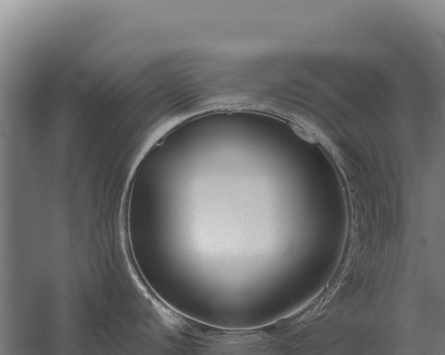 X0000059841440200510281813