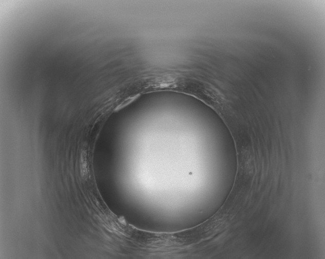 X0000059841442200510281812