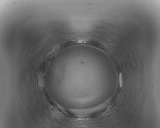 X0000059841443200510281812