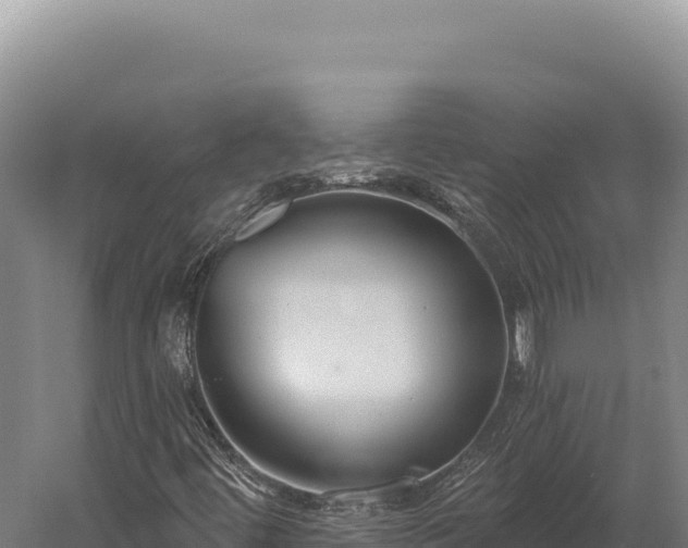 X0000059841444200510281812