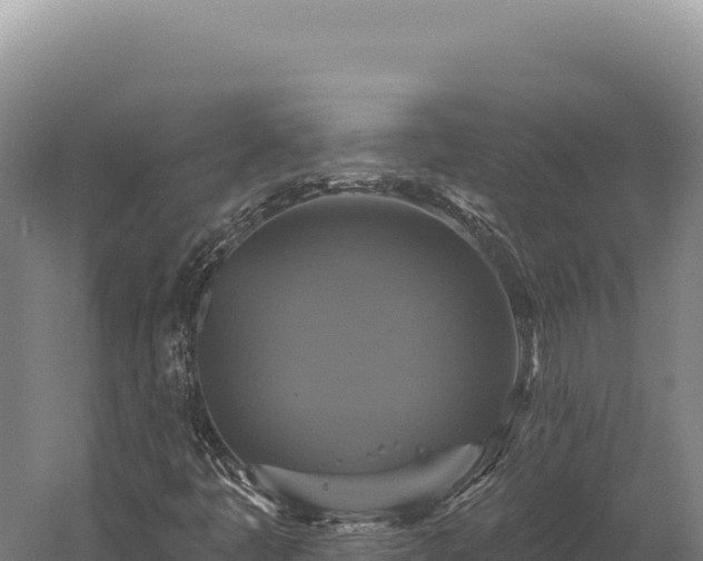 X0000059841445200510281812