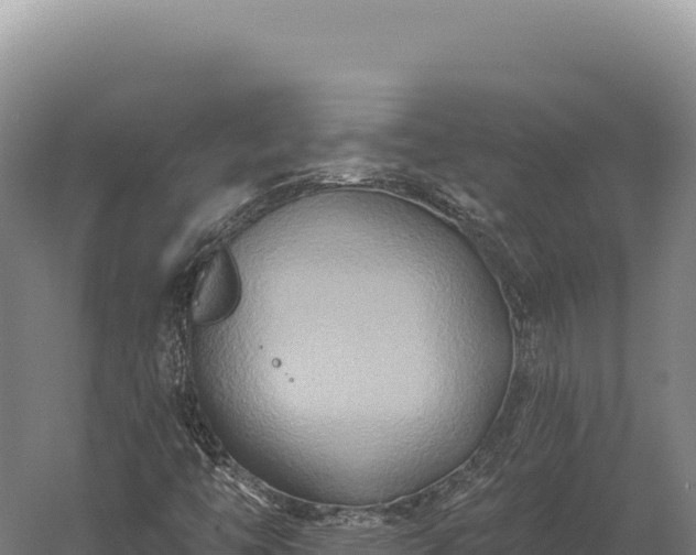 X0000059841446200510281812