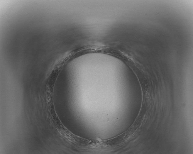 X0000059841447200510281812