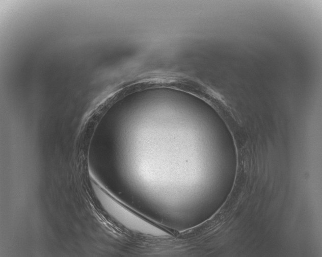 X0000059841448200510281812