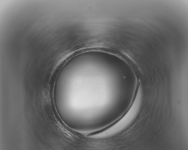 X0000059841452200510281812