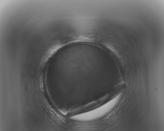 X0000059841455200510281812