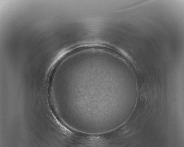 X0000059841456200510281811