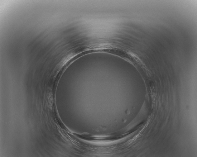 X0000059841457200510281811