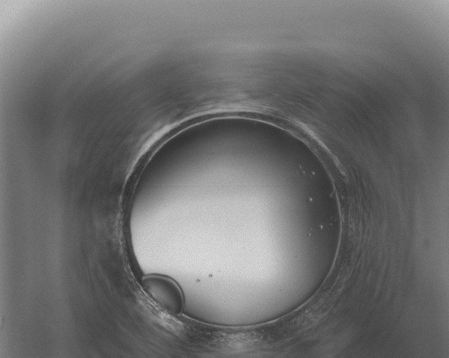 X0000059841460200510281811