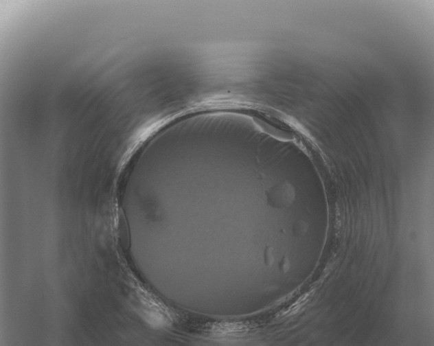 X0000059841461200510281811