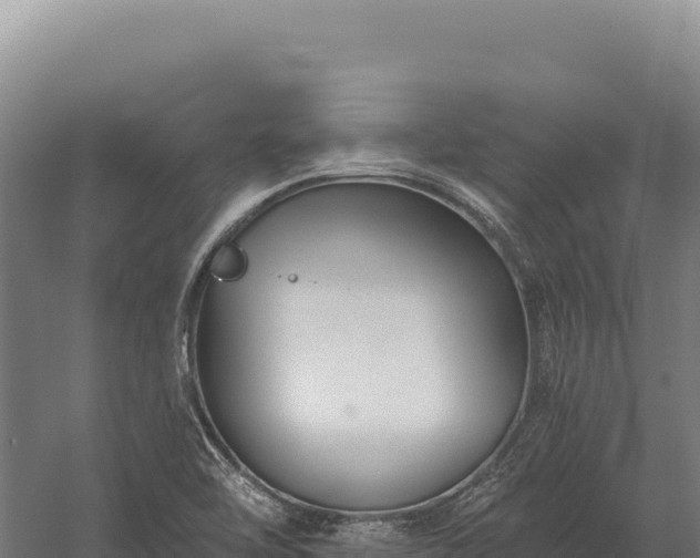 X0000059841462200510281811