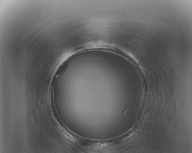 X0000059841463200510281811