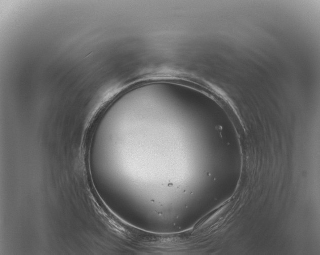 X0000059841464200510281811