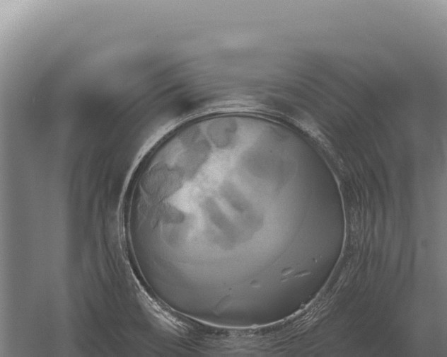 X0000059841466200510281811