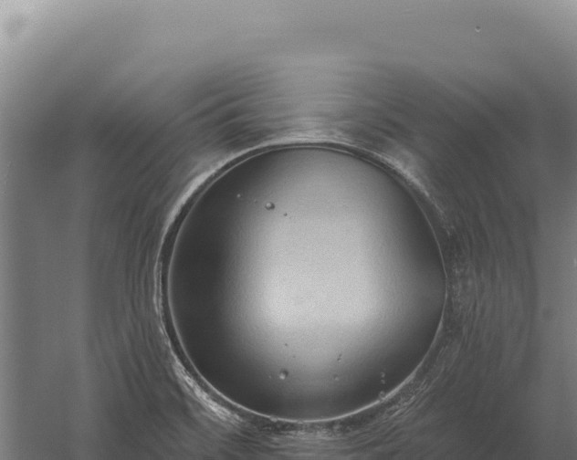 X0000059841468200510281811