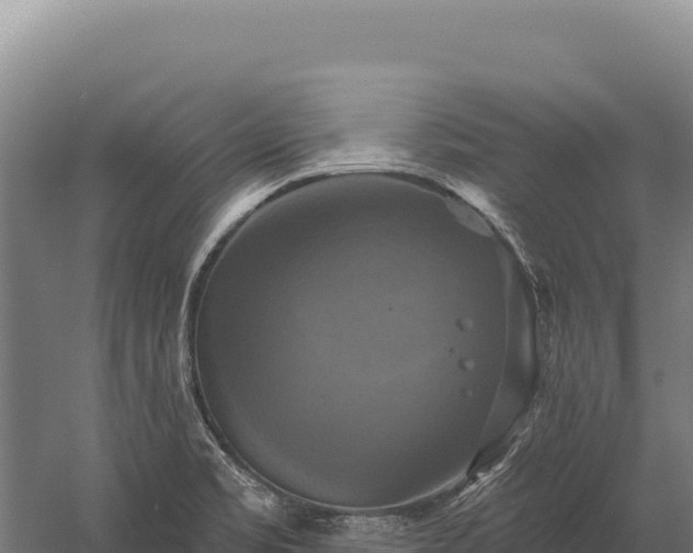 X0000059841469200510281811